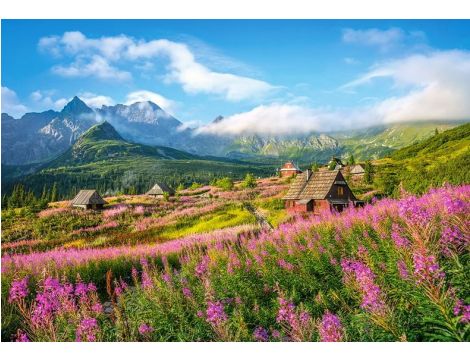 Puzzle Tatry Hala Gąsienicowa Castorland 1000el